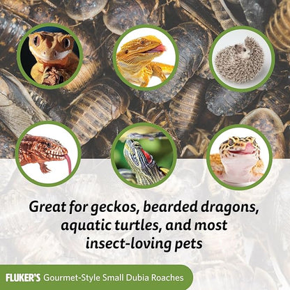 Fluker's Gourmet Canned Food for Reptiles, Fish, Birds and Small Animals, Dubia Roaches, 1.2 oz Flukers
