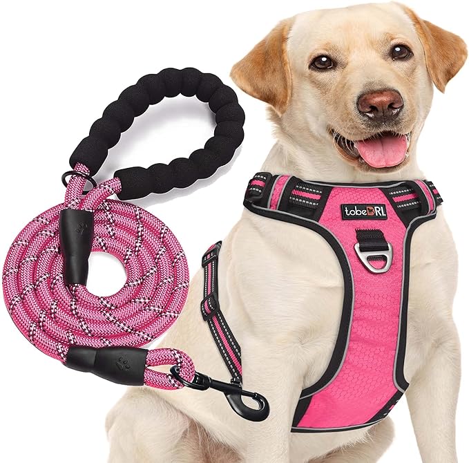 tobeDRI No Pull Dog Harness Adjustable Reflective Oxford Easy Control Medium Large Dog Harness with A Free Heavy Duty 5ft Dog Leash (XL (Neck: 21.5"-33", Chest: 30"-39.5"), Pink Harness+Leash) - PAWPICO
