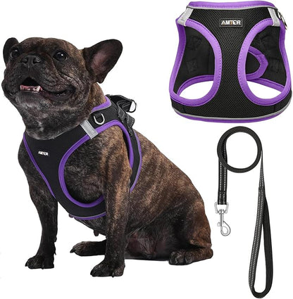 AMTOR Small Dog Harness with Leash Set, No Escape Easy Walk Puppy Harnesses for Training Walking, Step-in Reflective Soft Dogs Vest for XS S Medium Extra-Small Large Sized Dog(Black/Purple) AMTOR