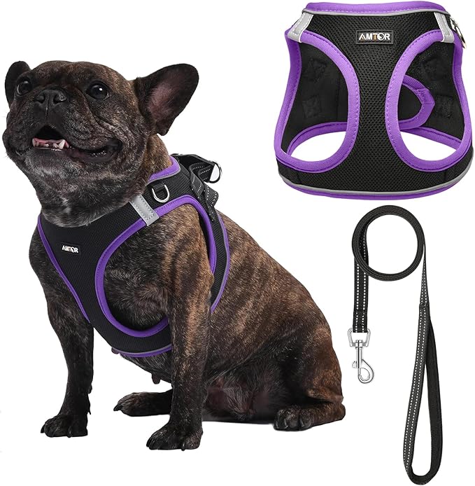 AMTOR Small Dog Harness with Leash Set, No Escape Easy Walk Puppy Harnesses for Training Walking, Step-in Reflective Soft Dogs Vest for XS S Medium Extra-Small Large Sized Dog(Black/Purple) AMTOR