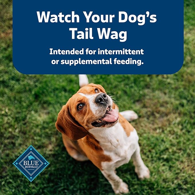 Blue Buffalo Health Bars Crunchy Dog Biscuits, Oven-Baked With Natural Ingredients, Bacon, Egg & Cheese , 16-oz. Bag - PAWPICO