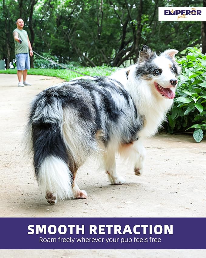 Emperor Pets 16 Feet Retractable Dog Leash Large Dogs - Up to 110lb, Large Dog Leash Heavy Duty Dog Leash Retractable 26 ft, Dog Leashes for Large Breed Dogs, Dog Leashes for Medium Dogs -PK16 EmperorPets