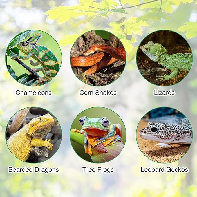 Fhiny Reptile Vines, Bendable Jungle Vines with Moss Artificial Snake Climbing Branch Terrarium Habitat Decor Reptile Tank Accessories Fake Plant for Bearded Dragon Chameleon Lizard Gecko (1.6 FT) Fhiny