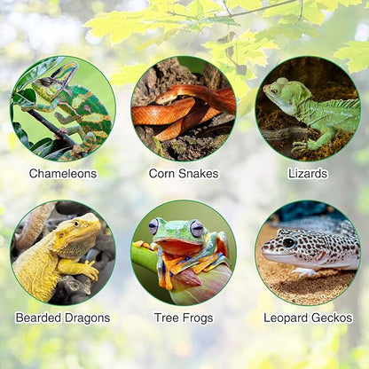 Fhiny Reptile Vines, Bendable Jungle Vines with Moss Artificial Snake Climbing Branch Terrarium Habitat Decor Reptile Tank Accessories Fake Plant for Bearded Dragon Chameleon Lizard Gecko (1.6 FT) Fhiny