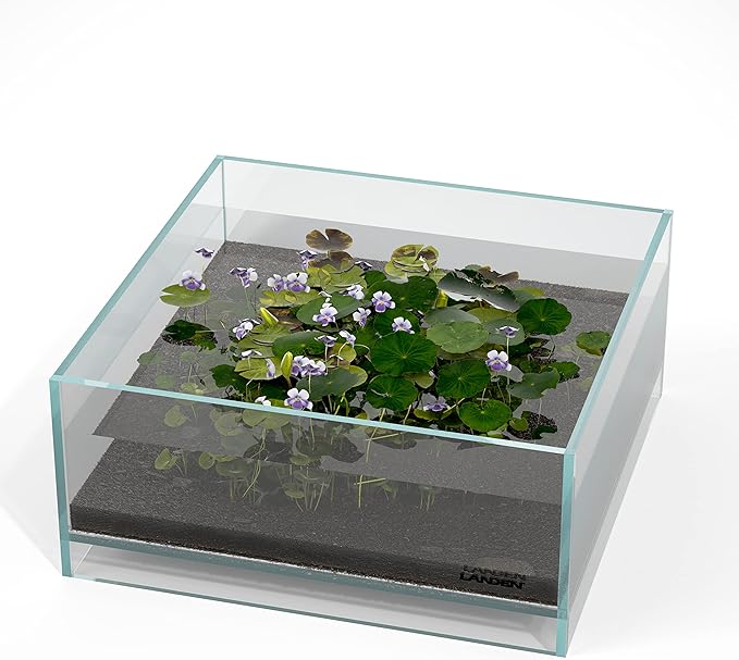 LANDEN Glass Air Aquarium Tank Multi-Scene Landscape Aquarium, 1.6Gallon Rimless Low Iron Shallow Tank,10.63" W×10.63" D×4.72" H (27cmx27cmx12cm) 5mm Thickness Landen
