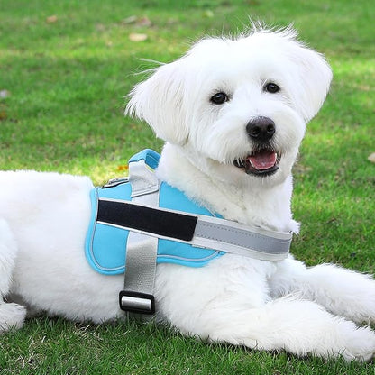 Bolux Dog Harness, No-Pull Reflective Dog Vest, Breathable Adjustable Pet Harness with Handle for Outdoor Walking - No More Pulling, Tugging or Choking (OceanicBlue, Medium (Pack of 1)) Bolux