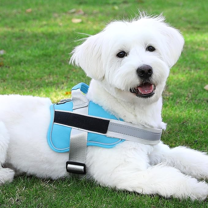 Bolux Dog Harness, No-Pull Reflective Dog Vest, Breathable Adjustable Pet Harness with Handle for Outdoor Walking - No More Pulling, Tugging or Choking (OceanicBlue, X-Large (Pack of 1)) Bolux