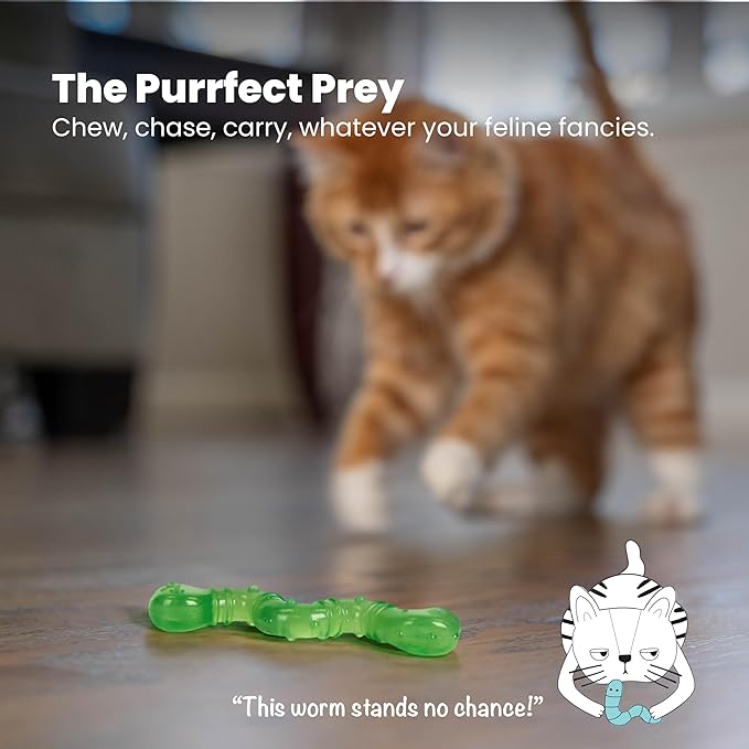 Catstages Orkakat Wiggle Worm Dental Catnip Cat Chew Toy, Assorted Color - PAWPICO