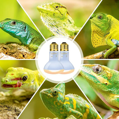 REPTIZOO Reptile Heat Lamp, 2 Pack 50W Daylight Basking Spot Lamp for Reptiles UVA Daylight Heating Lamp Bulb Basking Light for Bearded Dragon, Tortoise, Geckos, Chicken REPTIZOO