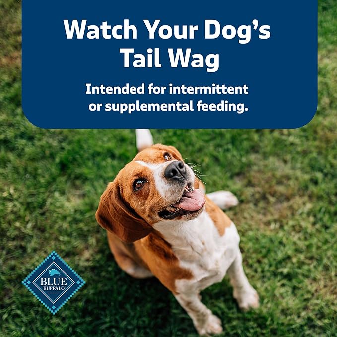 Blue Buffalo Health Bars Crunchy Dog Biscuits, Oven-Baked With Natural Ingredients, Beef, 16-oz Bag - PAWPICO