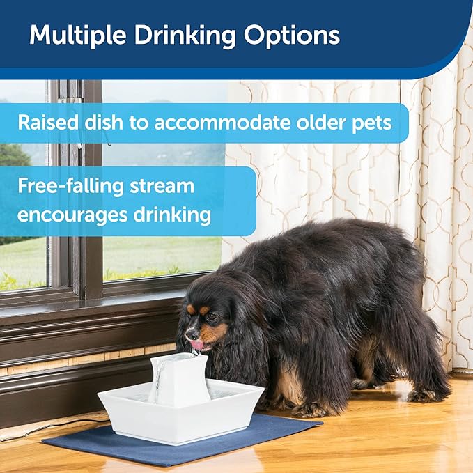 PetSafe Drinkwell Pagoda Pet Water Fountain (70 oz/2.1 L) Ceramic Cat Water Fountain, Dog Water Fountain Made of Premium, Scratch-Resistant Material, Automatic Indoor Fountain, White - PAWPICO