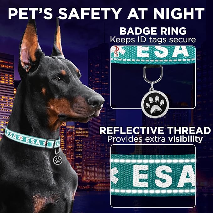 TECEUM Reflective Pet Collar – Teal - ESA – S – Basic Nylon Dog Collar – Quick Release Buckle – Fits Small, Medium and Large Dogs, Puppies, Cats – ESA & Service Dog Options TECEUM