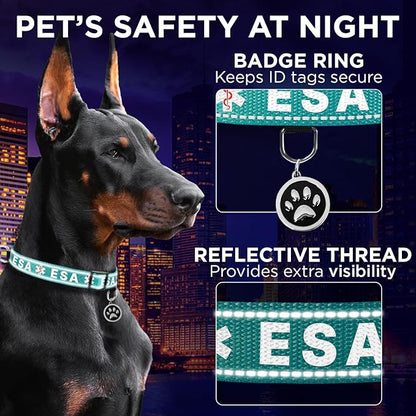 TECEUM Reflective Pet Collar – Teal - ESA – S – Basic Nylon Dog Collar – Quick Release Buckle – Fits Small, Medium and Large Dogs, Puppies, Cats – ESA & Service Dog Options TECEUM