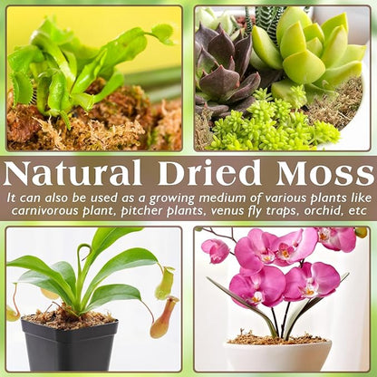 ZeeDix 6OZ Sphagnum Moss for Reptiles, 8QT Premium Dried Moss for Terrarium Long Fibered Leopard Gecko Moss Natural Sphagnum Peat Moss Bedding for Frogs Anoles Snake Turtle Plants ZeeDix