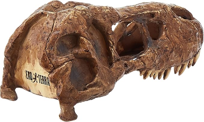 Exo Terra T-Rex Skull Terrarium Decor ExoTerra