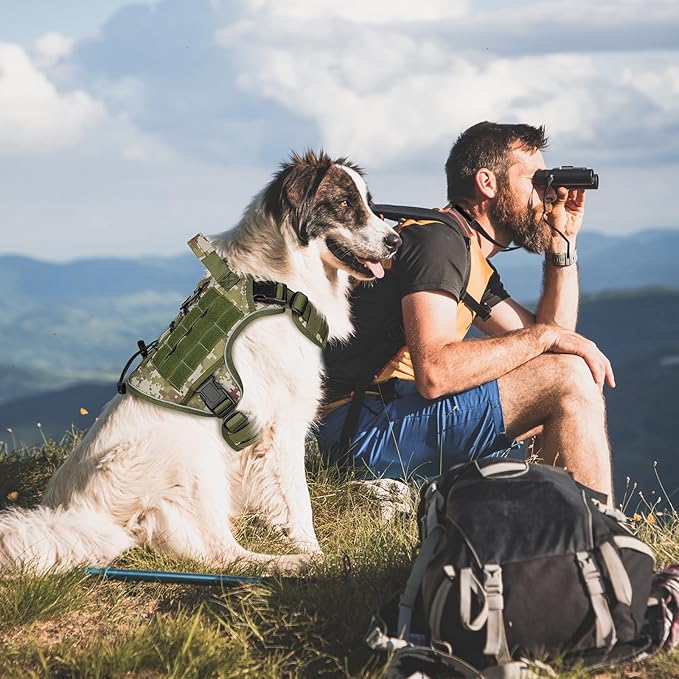 WINGOIN Tactical Dog Harness for Large Dogs, Heavy Duty No Pull Dog Harness with Handle, Adjustable Reflective Military K9 German Shepherd Big Dog Vest for Training, Walking, Hiking, Green Camo (L) WINGOIN
