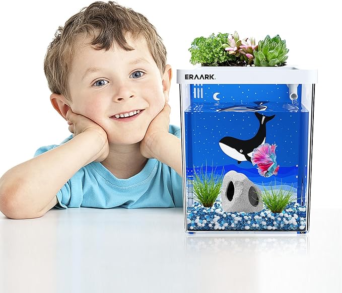 Aquarium kit 1.5 Gallon Betta Fish Tank self Cleaning, Fish Tank with Filter LED Light, Decorations Hideaway Rock Cave, Water Pump,Fish Bowl ERAARK