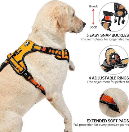 NESTROAD No Pull Dog Harness,Adjustable Oxford Dog Vest Harness with Leash,Reflective No-Choke Pet Harness with Easy Control Soft Handle for Small Dogs(Small,Orange) NESTROAD