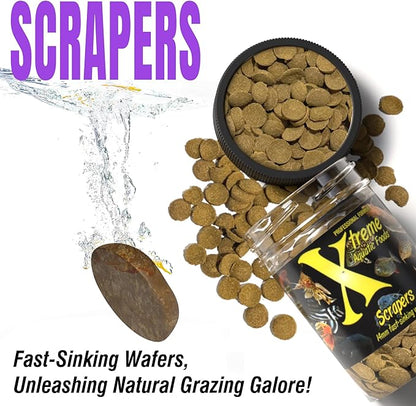 Xtreme Scrapers Wafers - Premium 14mm Fast-Sinking Fish Food – Nutrient & Cellulose Rich Ideal for Nocturnal Feeders, Catfish, Plecostomus Species, and Loaches – USA Farm Grown (2oz) XtremeAquaticFoods
