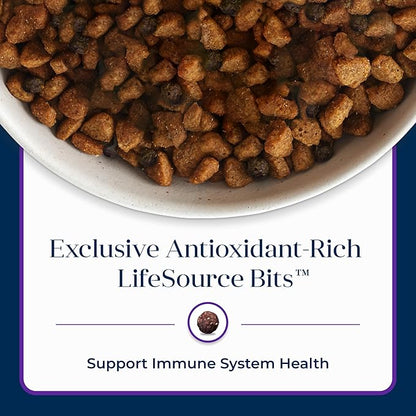 Blue Buffalo Basics Adult Dry Dog Food, Skin & Stomach Care, Limited Ingredient Diet for Dogs, Turkey Recipe, 24-lb. Bag - PAWPICO