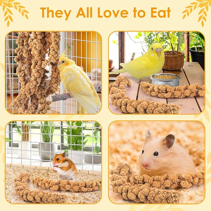 KATUMO Spray Millet for Birds, 2.0LB / 910g Natural Sun-Dried Millet Spray Bird Treats Parakeet Food for Cockatiels Conures Parrots Hamsters Finches KATUMO