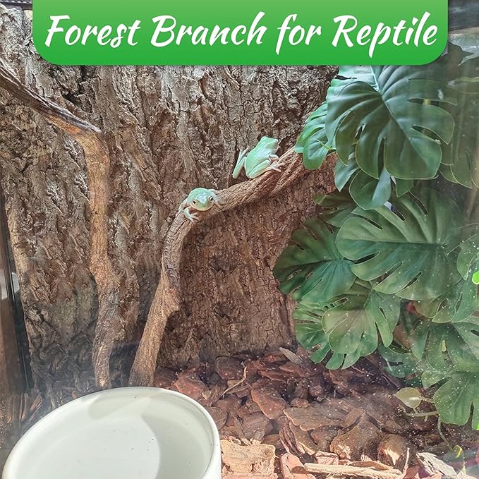 Reptile Branch Decor Snake Climbing Wood Branches Lizard Habitat Decorations Terrarium Wooden Tree Trunk Ornament for Bearded Dragon Snake Geckos Chameleon Frog 4 Pcs (14-16 inch) Apatal