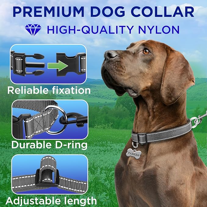 TECEUM Reflective Pet Collar – Gray – L – Basic Nylon Dog Collar – Quick Release Buckle – Fits Small, Medium and Large Dogs, Puppies, Cats – ESA & Service Dog Options TECEUM