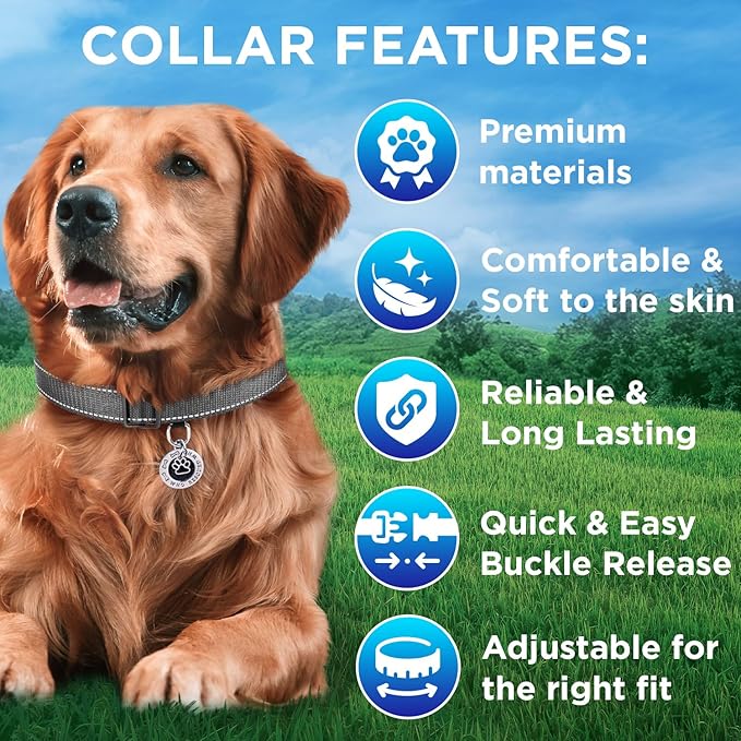 TECEUM Reflective Pet Collar – Gray – L – Basic Nylon Dog Collar – Quick Release Buckle – Fits Small, Medium and Large Dogs, Puppies, Cats – ESA & Service Dog Options TECEUM