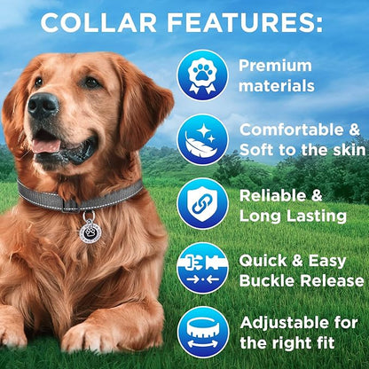 TECEUM Reflective Pet Collar – Gray – L – Basic Nylon Dog Collar – Quick Release Buckle – Fits Small, Medium and Large Dogs, Puppies, Cats – ESA & Service Dog Options TECEUM