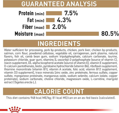 Royal Canin Poodle Adult Breed Specific Wet Dog Food, 3 oz can - PAWPICO