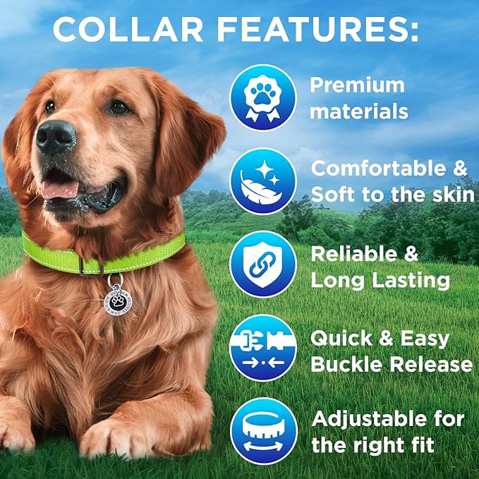 TECEUM Reflective Pet Collar – Acid Green – XS – Basic Nylon Dog Collar – Quick Release Buckle – Fits Small, Medium and Large Dogs, Puppies, Cats – ESA & Service Dog Options TECEUM