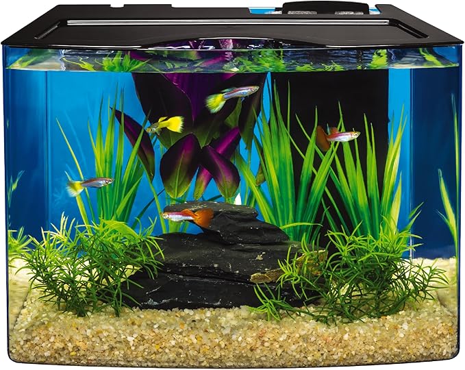 Tetra Crescent STEM Aquarium Kit 3 Gallons, Curved-Front Fish Tank with LEDs and STEM Activity Guide Tetra