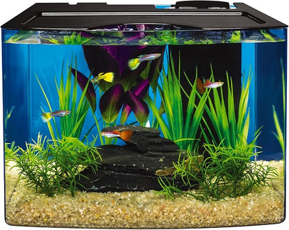 Tetra Crescent STEM Aquarium Kit 3 Gallons, Curved-Front Fish Tank with LEDs and STEM Activity Guide Tetra