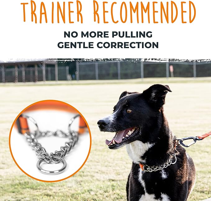 Mighty Paw Martingale Dog Collar 2.0 | Trainer Approved Limited Slip Collar with Stainless Steel Chain & Heavy Duty Buckle - Modified Cinch for Gentle & Effective Pet Training - Medium, Orange MightyPaw