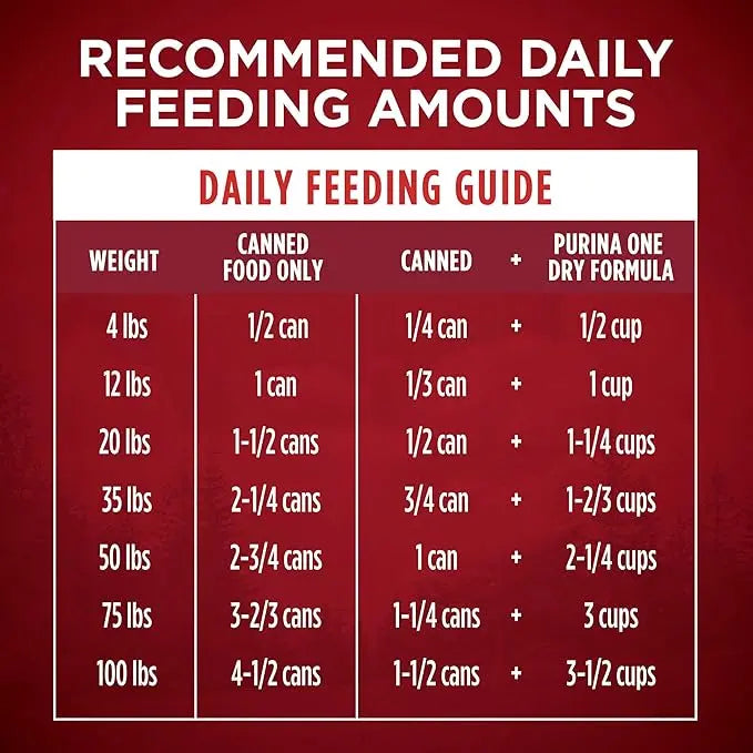 Purina ONE High Protein Wet Dog Food True Instinct Tender Cuts in Dog Food Gravy With Real Beef and Wild-Caught Salmon - (Pack of 12) 13 oz. Cans - PAWPICO