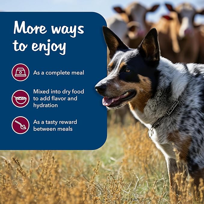 Blue Buffalo Blue's Stews Natural Adult Wet Dog Food Cans, Chicken and Beef 12.5-oz (12 Pack- 6 of Each Flavor) - PAWPICO