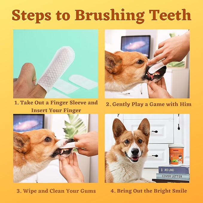 Dog Teeth Cleaning Wipes, Dog Dental Wipes, 50 PCS, Safe, Gentle with The Fragrance of Coconut Oil - Easy Oral, Eye, Ear Hygiene - Increases Loving Bonds, Brings Health & Joy to Pets. PHONGLEO