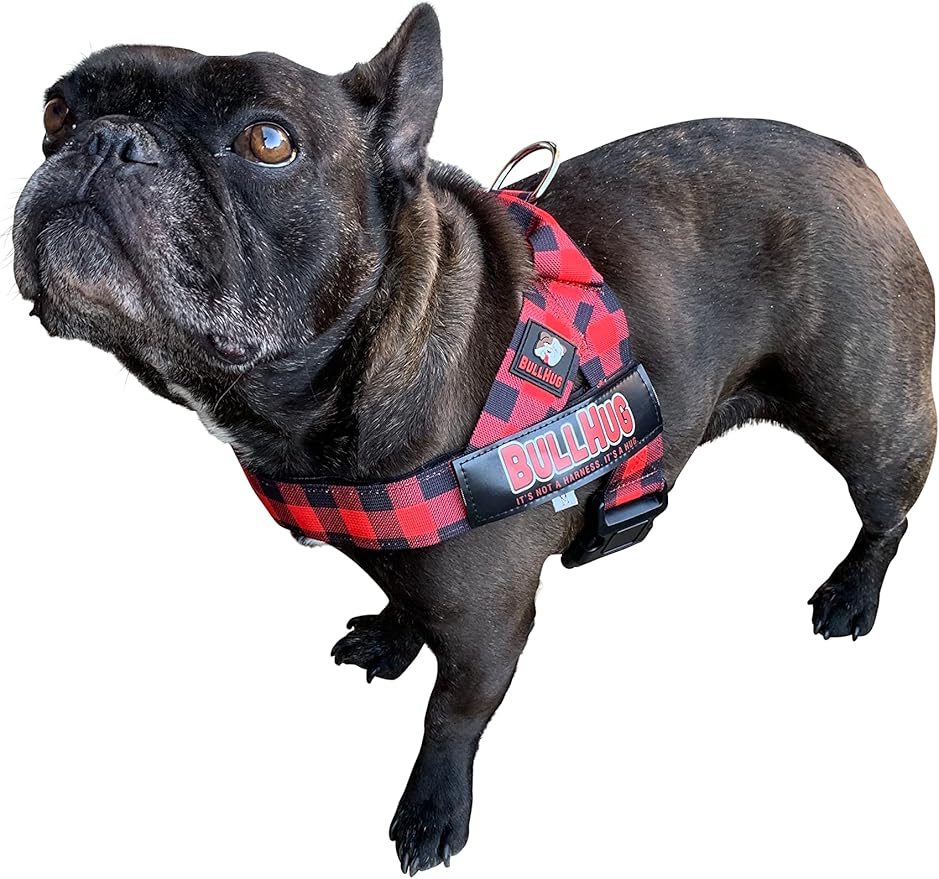 BULLHUG Harness – Made for Larger Chested Dogs Like English Bulldogs, French Bulldogs, Pugs & More. Stops Dogs from Pulling & Choking on Walks (RED Buffalo, Medium) BULLHUG