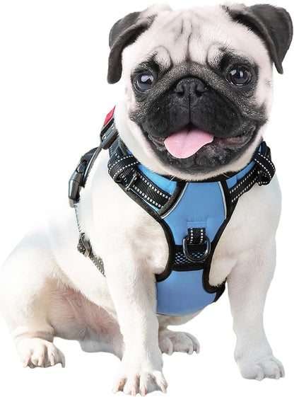 PHOEPET No Pull Dog Harness 3M Reflective Adjustable Vest with a Training Handle, Name ID Pocket, 2 Metal Leash Hooks, 3 Snap Buckles [Easy to Put on & Take Off](L, Baby Blue) PHOEPET