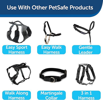 PetSafe Nylon Dog Leash – Strong, Durable, Traditional Style Leash with Easy to Use Bolt Snap – 1" x 4', Black - PAWPICO
