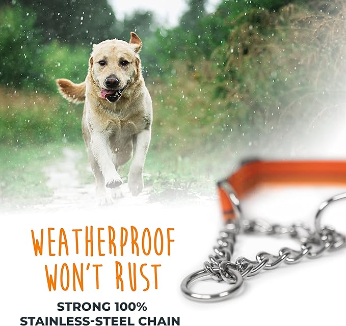 Mighty Paw Martingale Dog Collar 2.0 | Trainer Approved Limited Slip Collar with Stainless Steel Chain & Heavy Duty Buckle - Modified Cinch for Gentle & Effective Pet Training - Medium, Orange MightyPaw