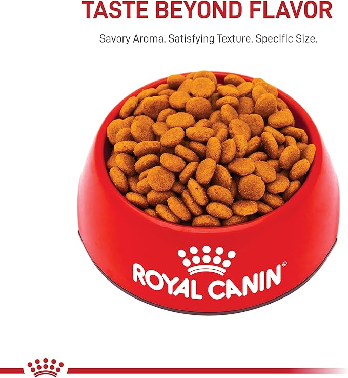 Royal Canin Medium Breed Adult Dry Dog Food, 30 lb bag - PAWPICO