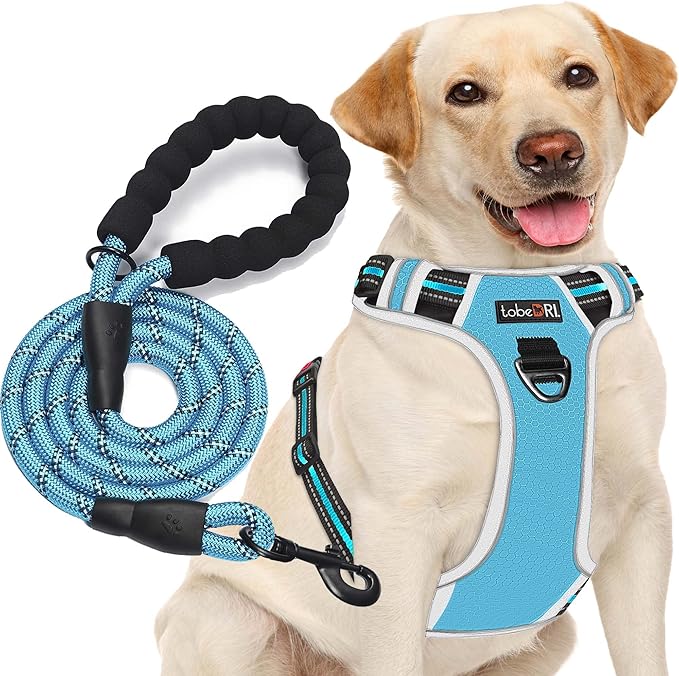 No Pull Dog Harness Adjustable Reflective Oxford Easy Control Medium Large Dog Harness with A Free Heavy Duty 5ft Dog Leash tobeDRI