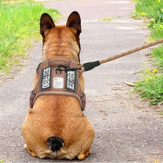 Heavy Duty Tactical Dog Harness for Small Dogs, No Pull Adjustable Pet Harness Reflective Service Training Easy Control Pet Vest Military K9 Working Dog Harnesses- Small, Brown Beebielove