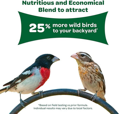 Kaytee Wild Bird Basic Seed, 20lbs (2 Packs of 10lbs) Kaytee