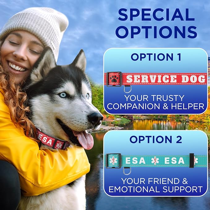 TECEUM Reflective Pet Collar – Red - ESA – M – Basic Nylon Dog Collar – Quick Release Buckle – Fits Small, Medium and Large Dogs, Puppies, Cats – ESA & Service Dog Options TECEUM