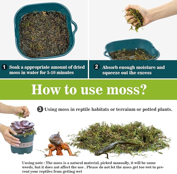 Sukh Sphagnum Moss for Reptiles - Terrarium Moss for Reptiles Peat Moss for Reptiles Habitat Bedding Moss for Snakes Turtle Frog Gecko and Other Reptiles Substrate (3, Ounces) Sukh
