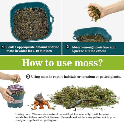 Sukh Sphagnum Moss for Reptiles - Terrarium Moss for Reptiles Peat Moss for Reptiles Habitat Bedding Moss for Snakes Turtle Frog Gecko and Other Reptiles Substrate (3, Ounces) Sukh