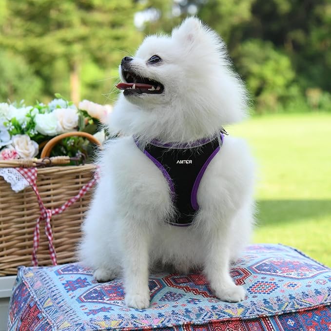 AMTOR Small Dog Harness with Leash Set, No Escape Easy Walk Puppy Harnesses for Training Walking, Step-in Reflective Soft Dogs Vest for XS S Medium Extra-Small Large Sized Dog(Black/Purple) AMTOR