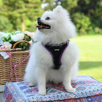 AMTOR Small Dog Harness with Leash Set, No Escape Easy Walk Puppy Harnesses for Training Walking, Step-in Reflective Soft Dogs Vest for XS S Medium Extra-Small Large Sized Dog(Black/Purple) - PAWPICO
